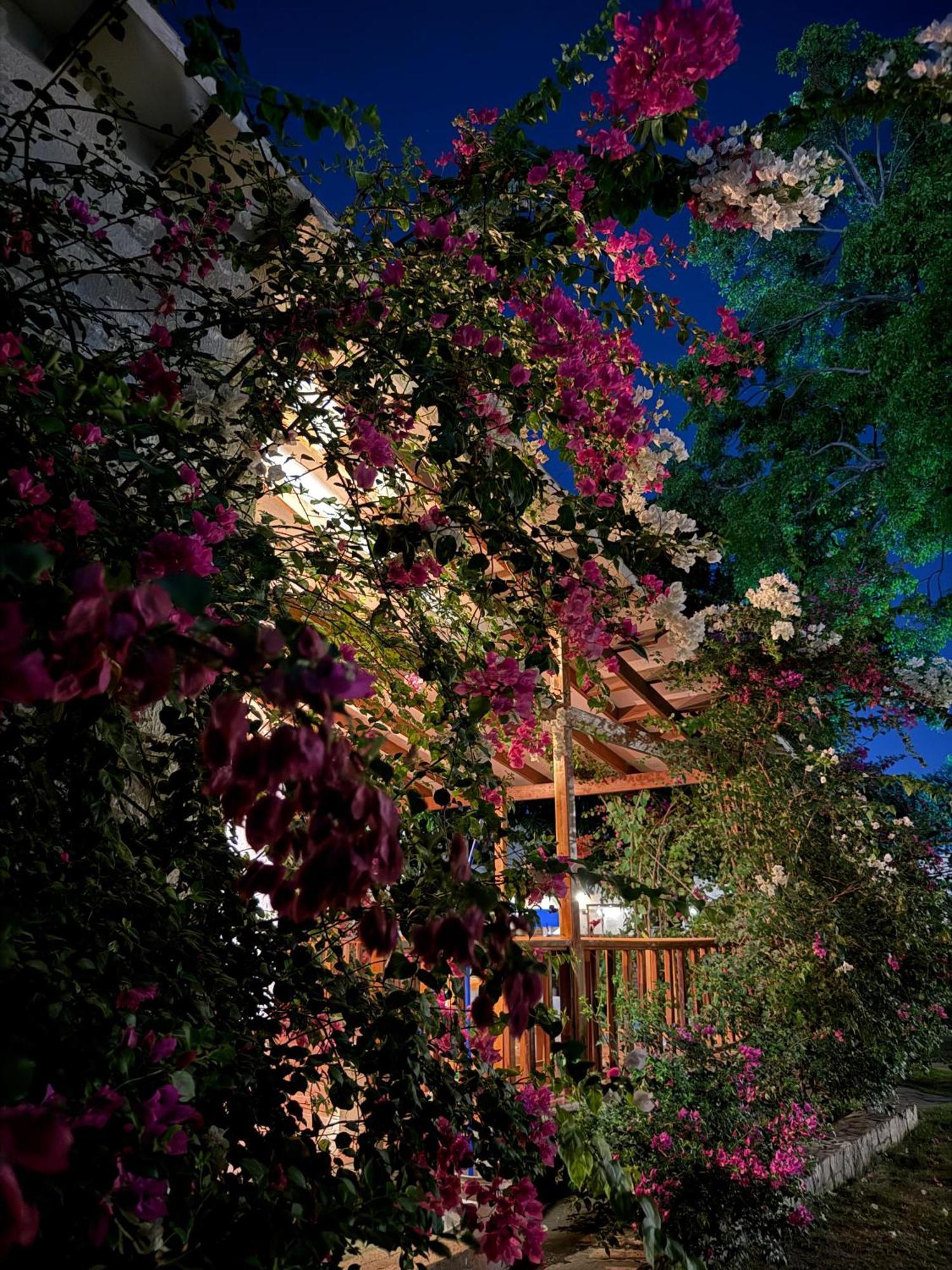 Hotel Jardin Boutique Rodadero Santa Marta  Exterior foto