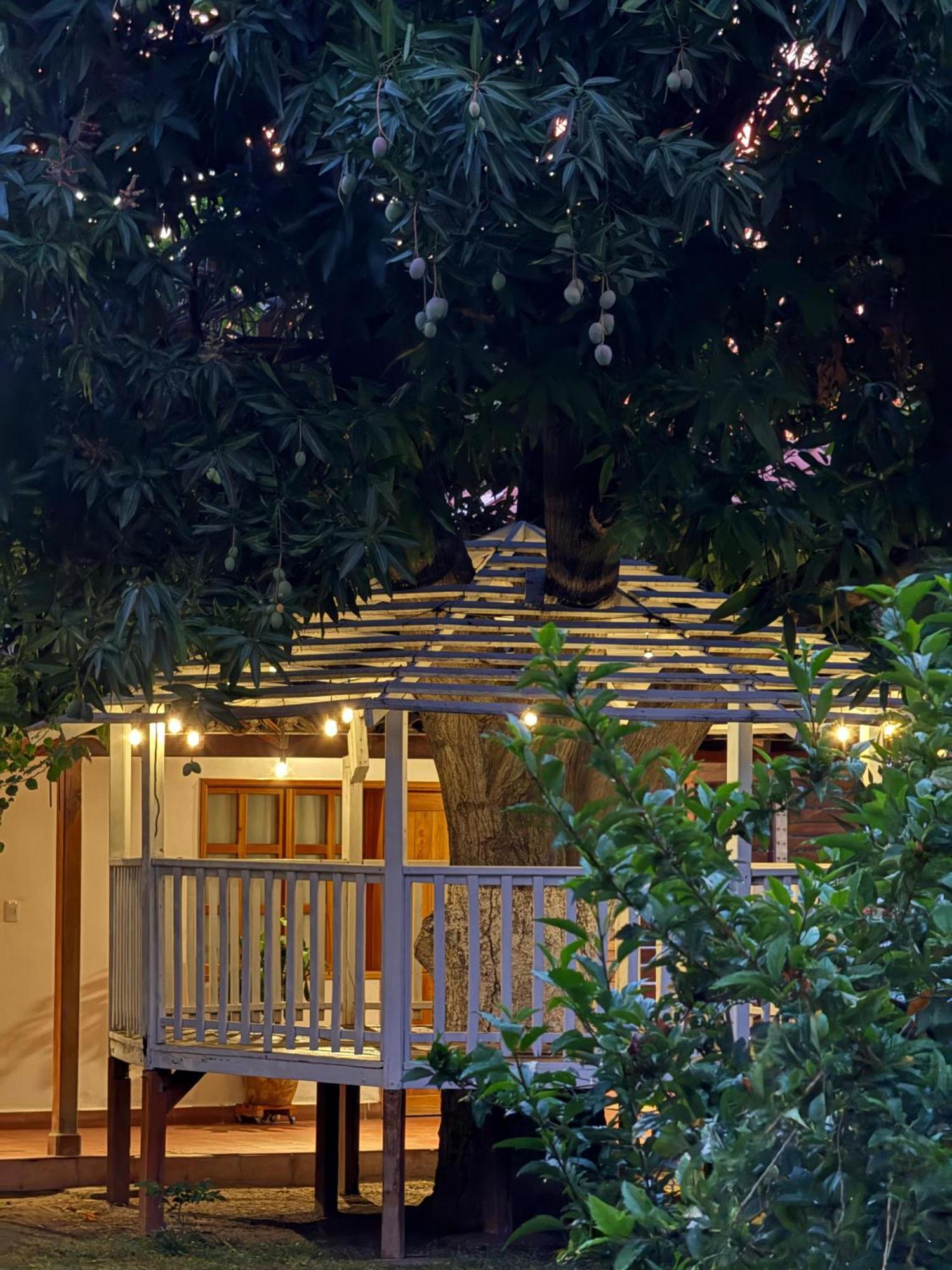 Hotel Jardin Boutique Rodadero Santa Marta  Exterior foto